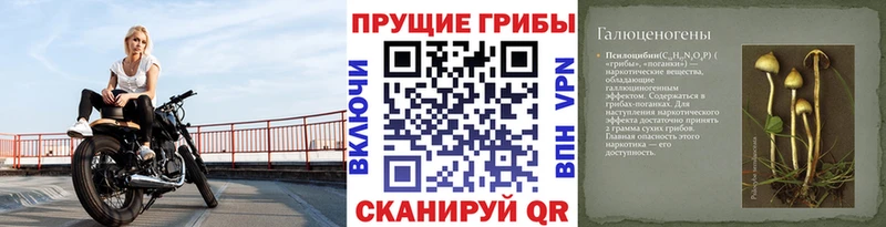 кракен рабочий сайт  Карасук  Галлюциногенные грибы мухоморы 